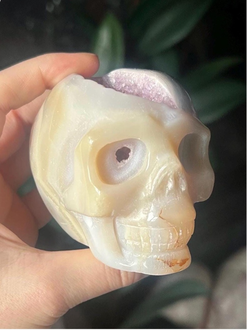 Carved Agate Geode Skull - Cream with Purple Druzy ~ Druzy Purple Amethyst